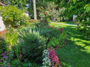 A garden outside Apartment Siofok, Lake Balaton 5