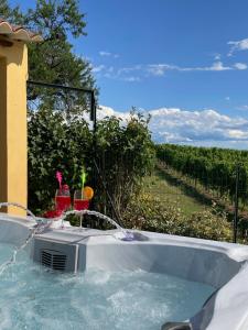 uma banheira de hidromassagem com dois coquetéis dentro com um vinhedo em Country House Pais - Relax in jacuzzi tra i vigneti em Quargnento