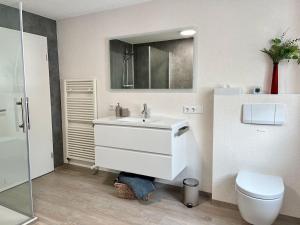a bathroom with a sink and a toilet at Ferienwohnung-mit-grosser-Terrasse-und-Garten-fuer-Geniesser in Hartenfels +13 photos