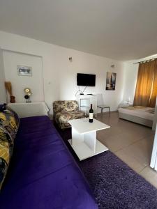 a living room with a couch and a table at Apartments Lav Costas in Herceg-Novi