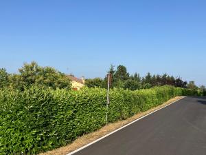 Gallery image of Casa indipendente con ampio giardino in Avaglio