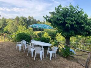 Gallery image of Casa indipendente con ampio giardino in Avaglio