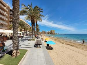 a beach with palm trees and people on the beach at Paseo De La Playa in Torrevieja