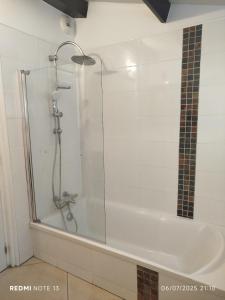 a shower with a glass door in a bathroom at Lucette in Vannes +6 photos