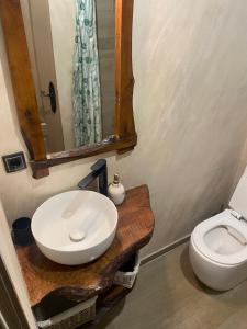 a bathroom with a sink and a toilet at Etno vajati Perućac in Perućac