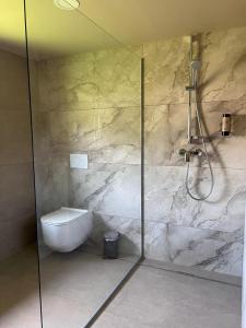 un bagno con wc e doccia in vetro di Ranč Mackadam Ranch Mackadam a Tržič Altre 37 foto