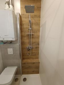 a small bathroom with a toilet and a shower at Apartament Park&Stadion in Szczecin