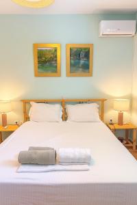 Postel nebo postele na pokoji v ubytování Villa Il Paradiso Andros