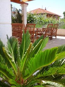 Zahrada ubytování Apartments Zulim