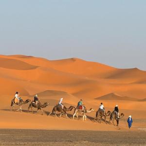 un grupo de gente montando caballos en el desierto en Luxury camps merzouga, en Merzouga