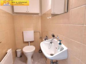 a small bathroom with a toilet and a sink at Apartment in Bad Mitterndorf - Steiermark 36996 in Bad Mitterndorf +12 photos