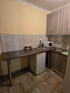 a small kitchen with a counter and a microwave at JayLa SELFCATERING ACCOMMODATION in Windhoek +12 photos