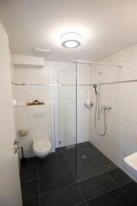 a bathroom with a shower and a toilet and a sink at Gasthof Löwen in Herznach