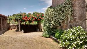 A garden outside Casa Rural Maria Bargiela
