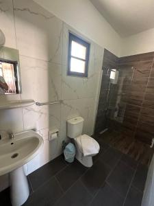 a bathroom with a sink and a toilet and a shower at Karpaz Arch House Hotel in Rizokarpaso +22 photos