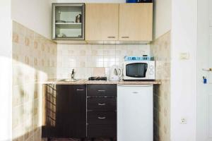 Kuchnia lub aneks kuchenny w obiekcie Apartment Pula 2