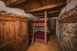 a bedroom with a bunk bed and a ladder at Rifugio Pra La Peira in Villar Perosa