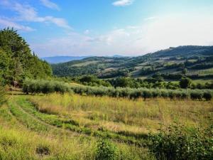 Príroda v okolí dovolenkového domu