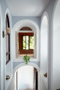 a hallway with a window and a potted plant at The Englishman's Clock Tower Hostel & More in Shkodër