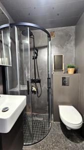 a bathroom with a shower and a toilet and a sink at Your Icelandic home in Reykjavik in Reykjavík