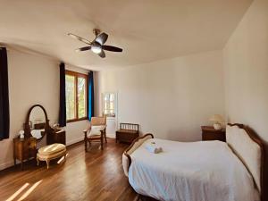 a bedroom with a bed and a ceiling fan at Château de Fortis in Serrières-en-Chautagne