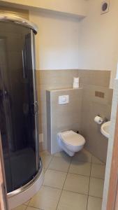 a bathroom with a toilet and a shower and a sink at Willa Agma in Zakopane +27 photos