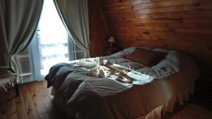 ein Bett in einem Schlafzimmer mit einem großen Fenster in der Unterkunft Cabañas Las Brisas in Puerto Madryn