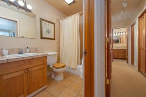 a bathroom with a toilet and a sink and a mirror at RMR: Lupine 1911 Condo in The AspensWilsonWY in Wilson +11 photos