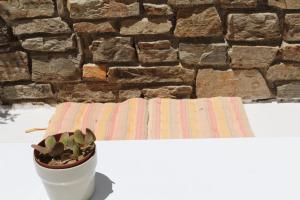 a potted plant sitting on a table in front of a stone wall at Aegeo Inn in Antiparos