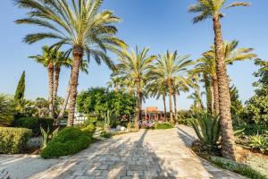 Vonkajšia záhrada v ubytovaní Il Giardino degli Dei