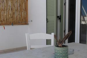 a plant sitting on a table next to a white chair at Aegeo Inn in Antiparos