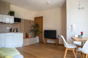 a kitchen and living room with a table and a tv at Suites DANICA in Šmartno