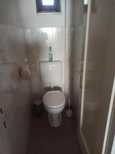 a small bathroom with a toilet and a window at Barackvirág in Balatongyörök +19 photos