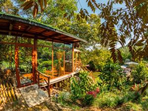 弗洛伦西亚Posada Amazonia的花园中间的木亭