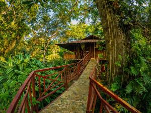 a wooden bridge leading to a tree house in a forest at Posada Amazonia in Florencia