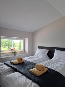 a bedroom with two towels on a bed with a window at Apartamenty Wałowa 7 in Rewa