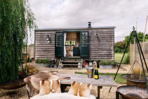 a tiny house with a picnic table in front of it at Lillie's Shepherd's Hut - Wellness & Hot Tub in Nottingham