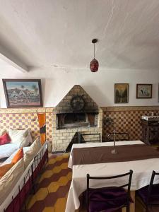 Ruang duduk di Dophin Hostel