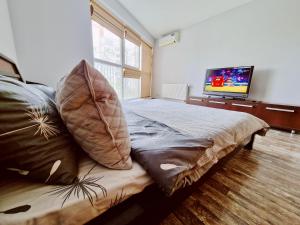 Μια τηλεόραση ή/και κέντρο ψυχαγωγίας στο Park Rose Apartment