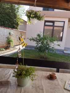 Una mesa con un pájaro colgando de una planta. en Apartmani Zara & Duje, en Bibinje 12 fotos más