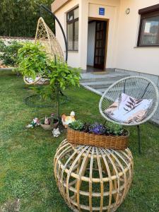 Dos sillas y una canasta con plantas en un patio. en Apartmani Zara & Duje, en Bibinje