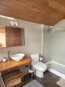 a bathroom with a toilet and a sink and a tub at Palafito Melí Naturaleza y Tradición in Castro +22 photos