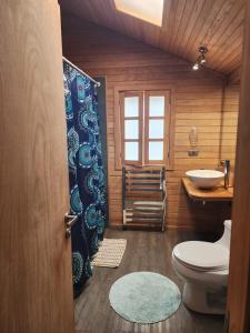 a bathroom with a toilet and a sink at Palafito Melí Naturaleza y Tradición in Castro