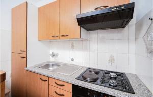 una cocina con estufa y fregadero en Lovely Apartment In Rabac With Wi-Fi, en Rabac