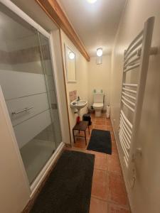 a bathroom with a shower and a sink and a toilet at Gîte L'Oustal in Azillanet