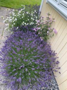 Fotografie z fotogalerie ubytování Charmigt Villa bredvid sjön Örlen v destinaci Tibro