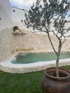 a tree in a pot next to a small pool at Casa Los Templarios, cerca de Puy du fou in Burujón
