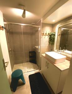 Un baño con ducha, lavabo y espejo. en La Maison Zébulon, en Saint-Vincent-de-Paul