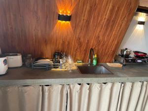 a kitchen with a counter with a sink and a counter top at La Prime Ceylon Villa in Beruwala