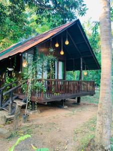 Zahrada ubytování Coconut Tree House